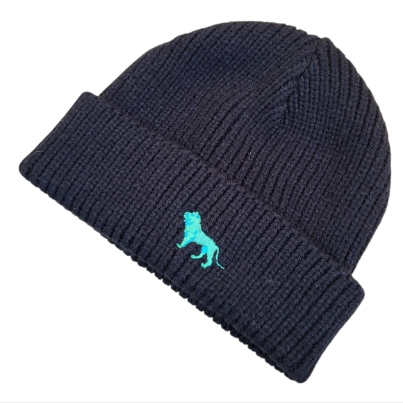 art institute Chicago Accessories - NWT ART INSTITUTE CHICAGO Winter LION Hat Beanie Unisex Black New